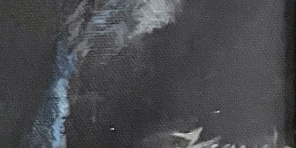 Detail of the painting: the artist's signature, Frayda, in the lower right corner.